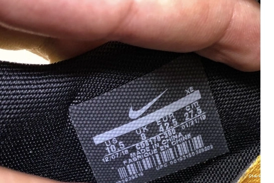 Zoom Kiger 5 Terra CD8179-300 x Nike O-W 0912
